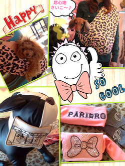 PicCollage
