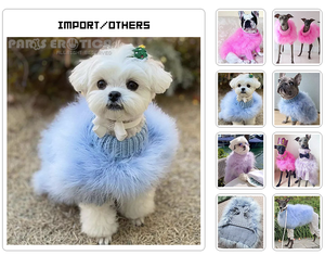 �����꡼�󥷥�å� 2022-11-16 19.04.15