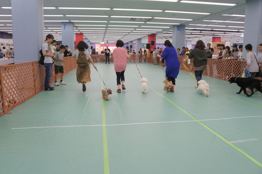 1DSC_7837 (2)