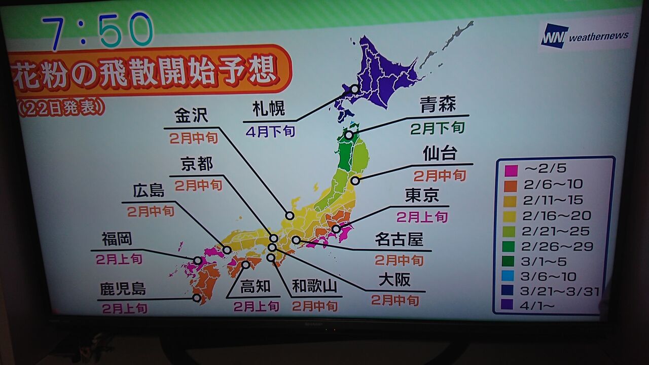 偽物 ダメ Dogmaでどこまでも