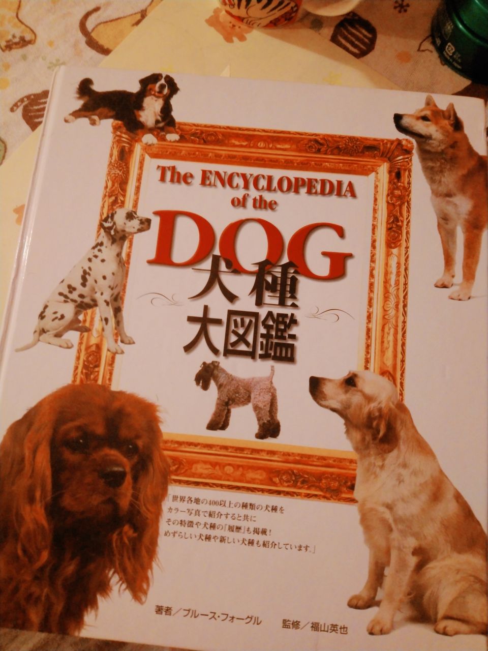 スキッパーキー シッパーキー 八戸ドッグローズ トリミング小型中型犬専門 ペットホテルは小型犬のみ 吠えずに過ごせるワンちゃんのみ 予約制 0178 38 7451インスタグラムをご覧下さい スキッパーキー シッパーキー 八戸ドッグローズ トリミング小型中型犬専門 ペットホテルは小型犬のみ 吠えずに過ごせるワンちゃんのみ 予約制 0178 38 7451インスタグラムをご覧下さい