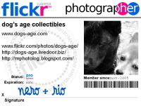 flickr