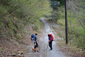 hike