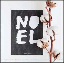 noel 2015
