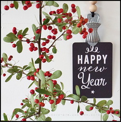 happy new year 2016