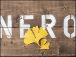 the nero republic