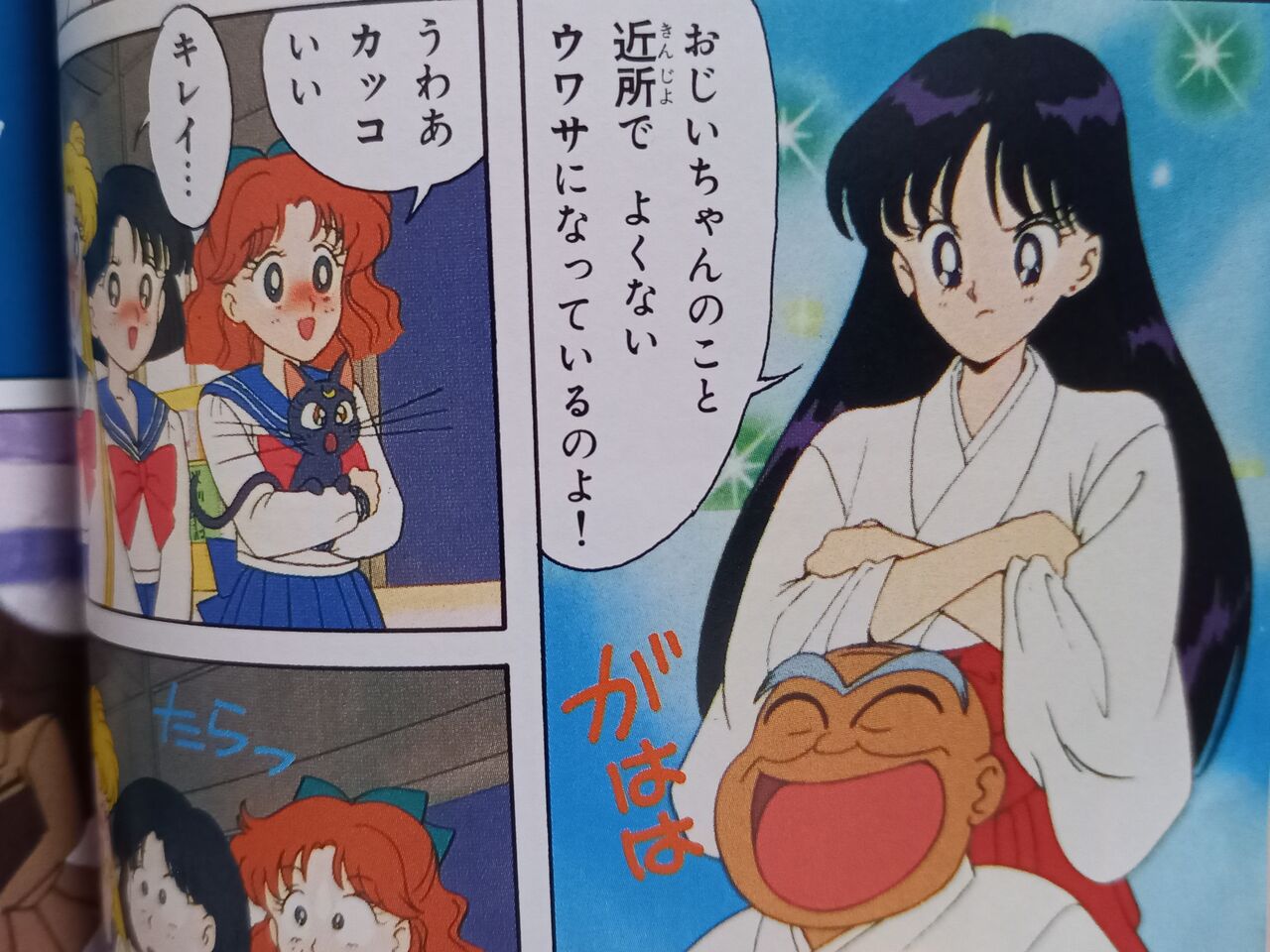 今週の セーラームーン 10話 発達障害者が気長に作家を目指すブログ