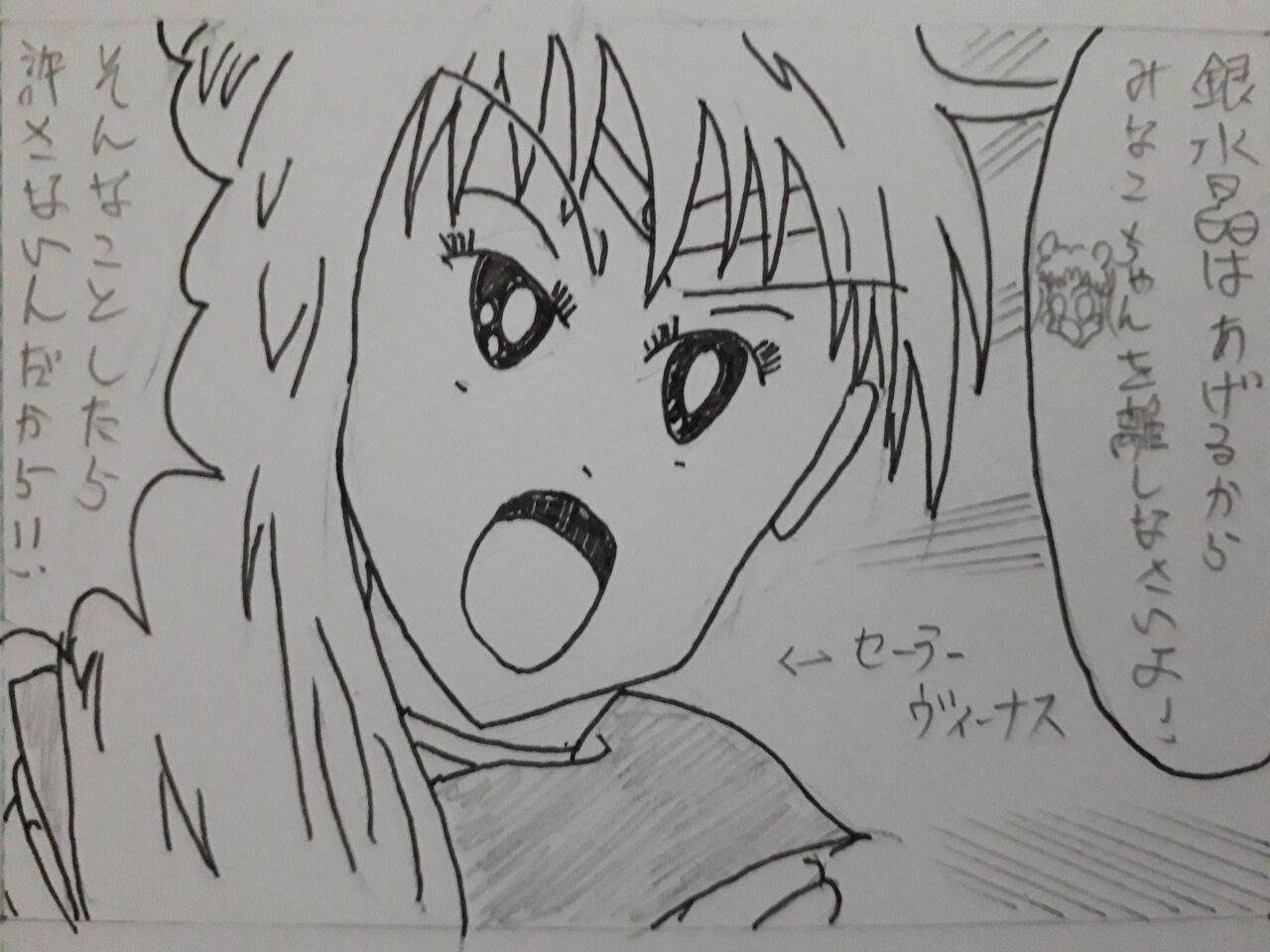 今週の セーラームーン 45話 発達障害者が気長に作家を目指すブログ
