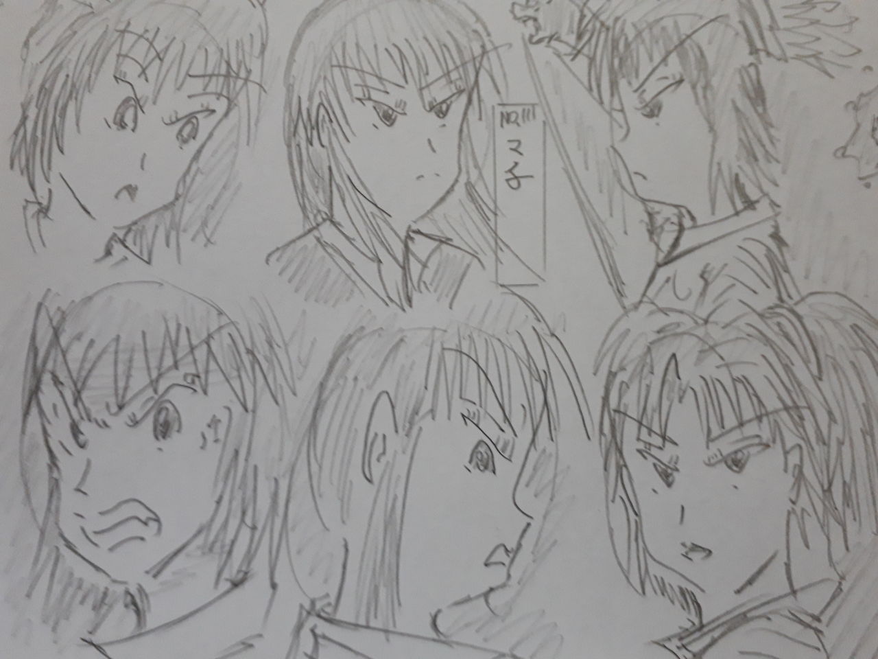 パクノダ 猫 8745 パクノダ 猫 パクノダ 猫 8745 パクノダ 猫