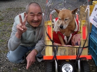 スクープ 鵜殿のおんぶ犬はいまっ 熊野どいらいファーマーズ