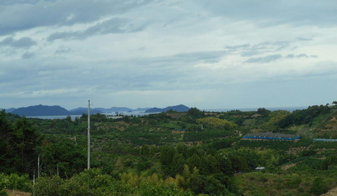 t01