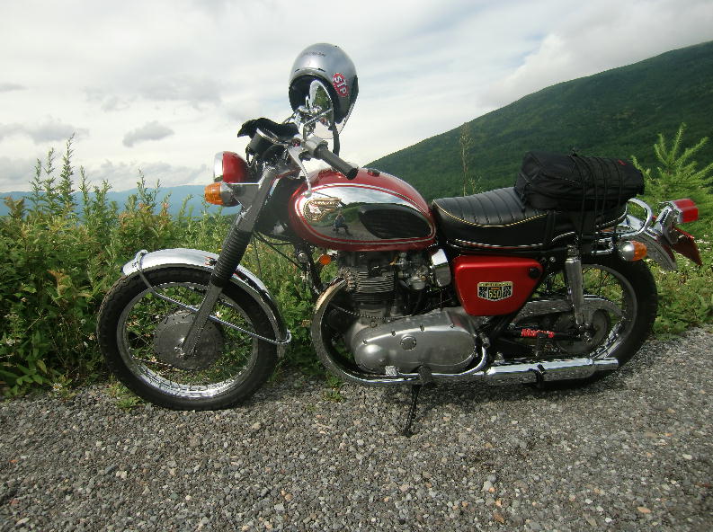 253e3b4a.jpg