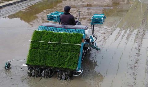 田植え機06
