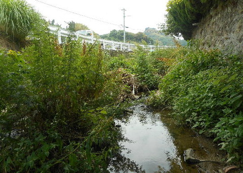河内川