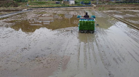 田植え機04