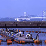 553d5f13.jpg