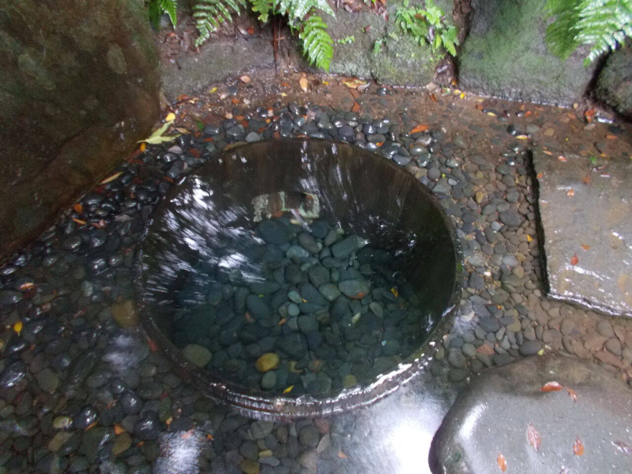 DSCN3454