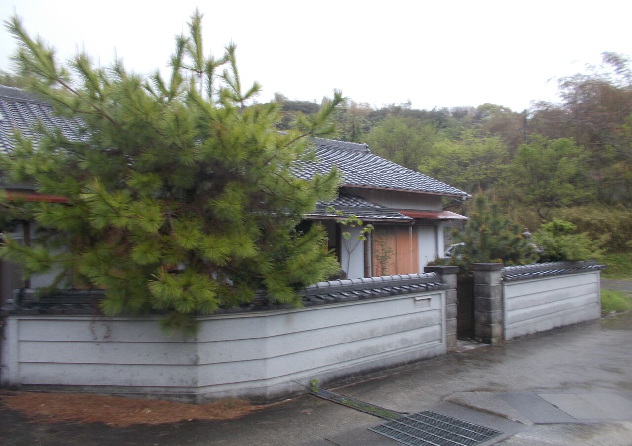 DSCN0543