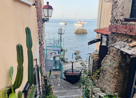 scilla3