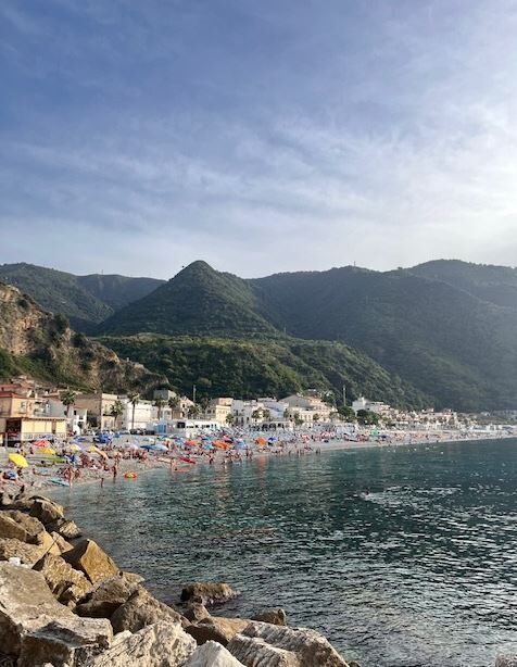 scilla1