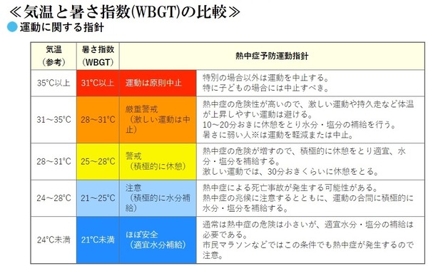 気温と暑さ指数の比較