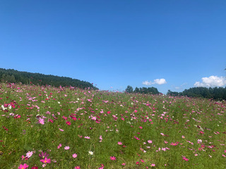 IMG_1355