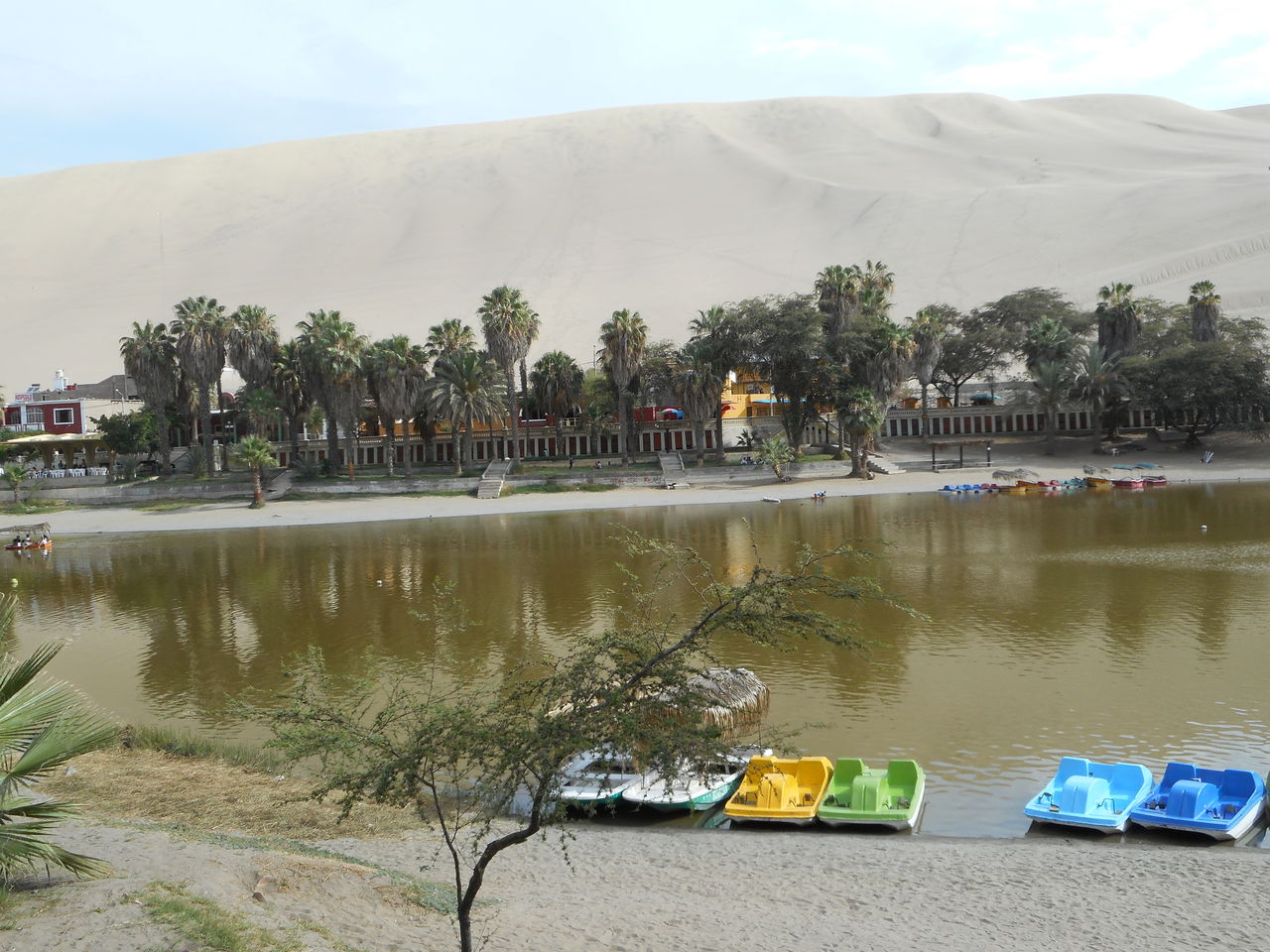 砂漠 と 湖畔 で