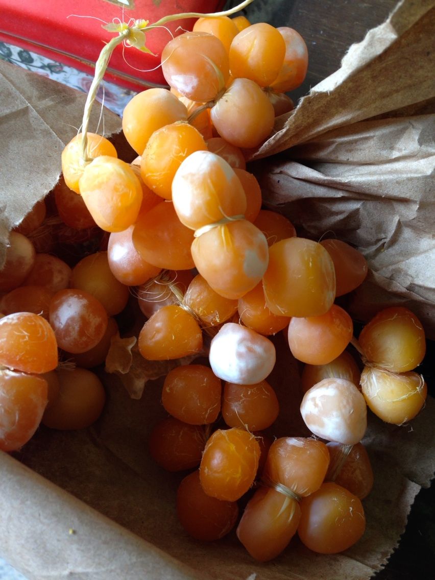 モンポスで出会った 珍しい食べ物たち バナナはおやつに入りません コロンビアどきどき国際協力