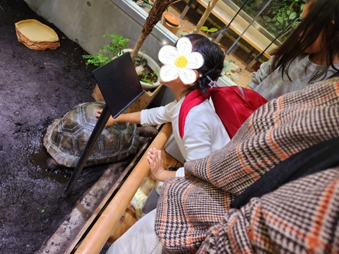 SNOW_20231125_184322_462