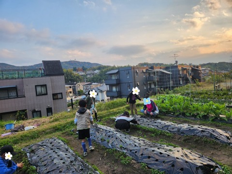 SNOW_20241207_123354_036