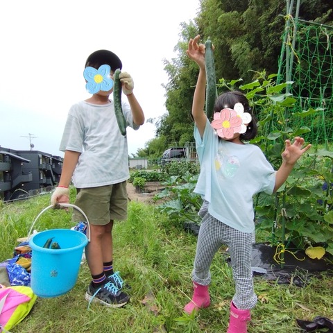 SNOW_20240627_120653_142