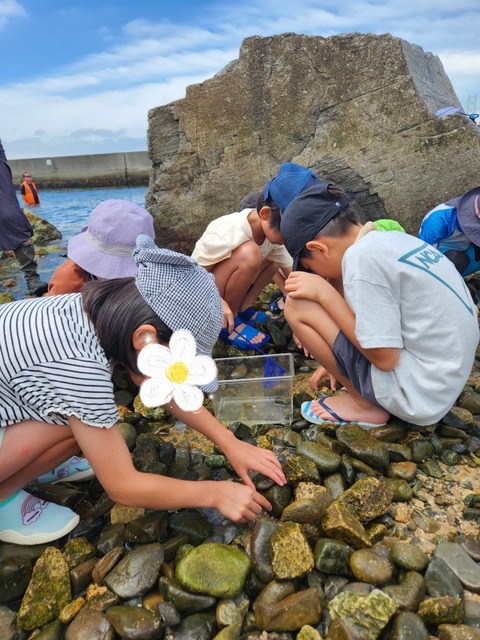 SNOW_20240622_160635_882