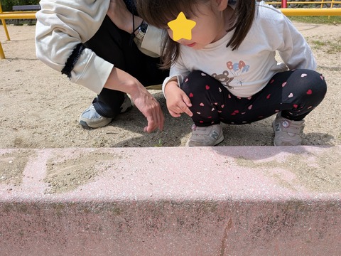 InShot_20260507_204543153