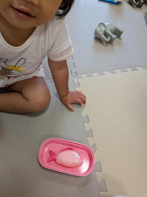 PXL_20250529_064112742