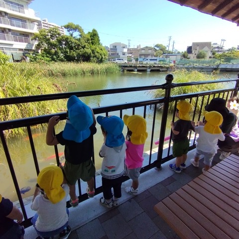 SNOW_20240926_125649_578