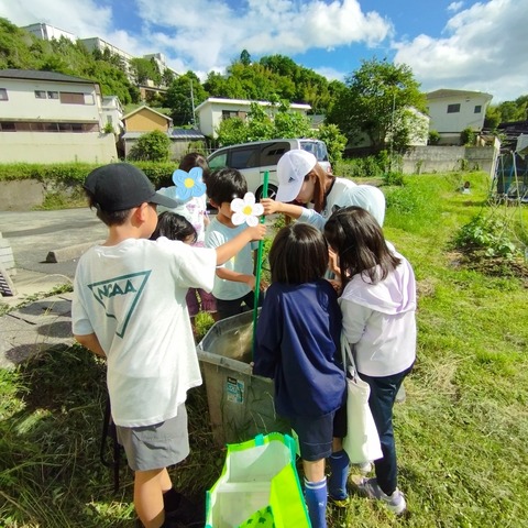 SNOW_20240620_123238_118