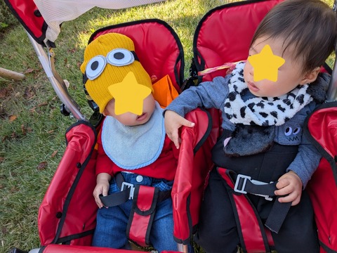 InShot_20251030_155302748