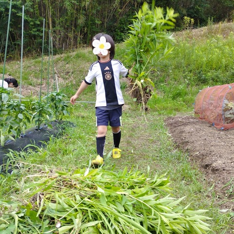 SNOW_20240627_120723_255