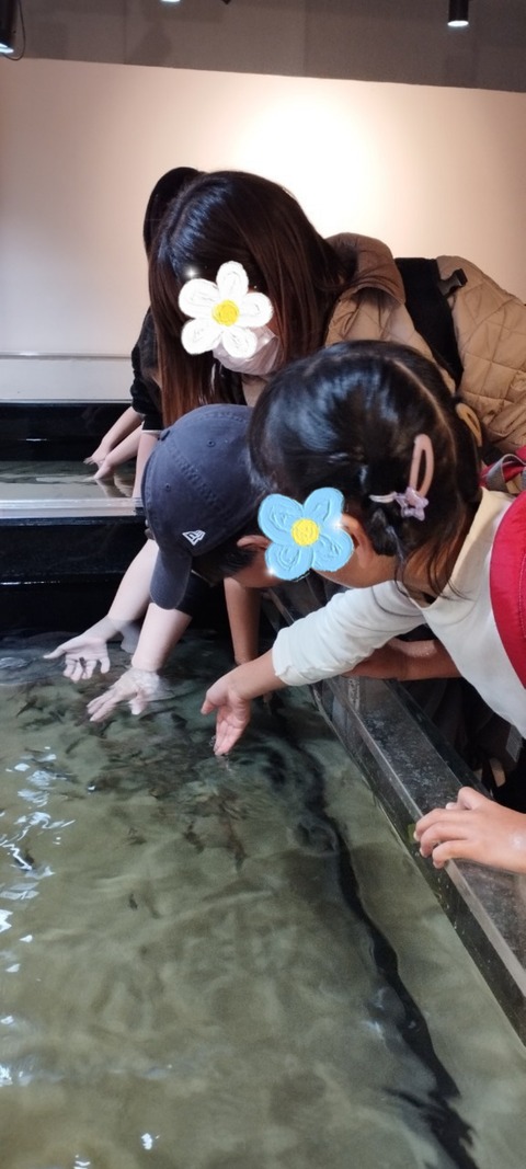 SNOW_20231125_183917_865