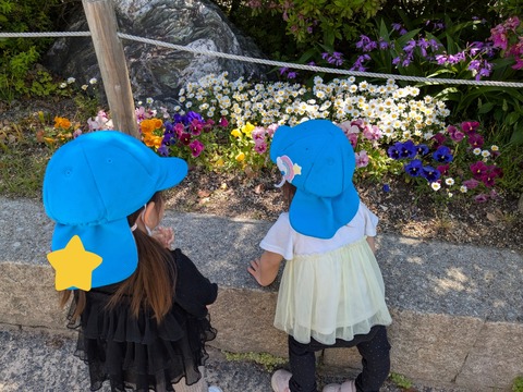 InShot_20250508_223050522