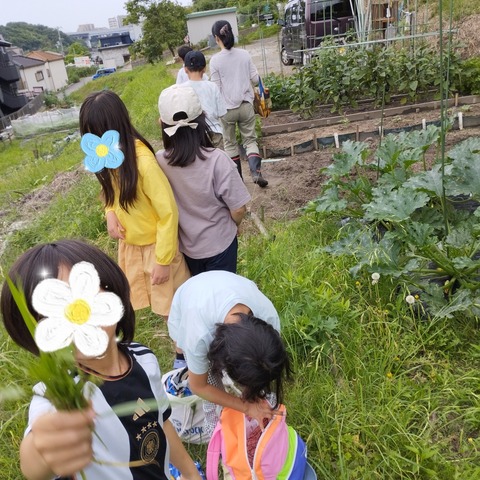 SNOW_20240627_120555_273