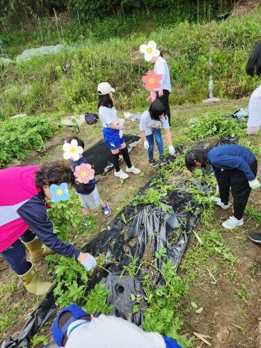 SNOW_20250531_110228_630