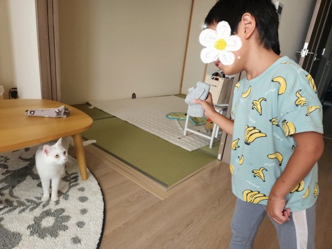 SNOW_20240928_184928_221