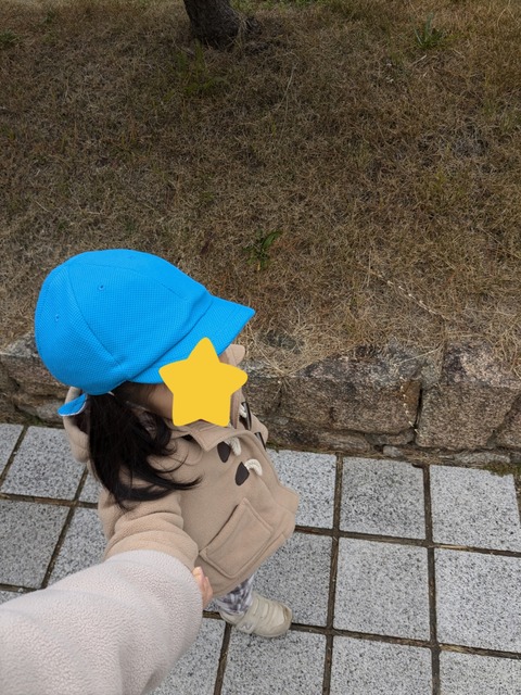 InShot_20241227_075615455