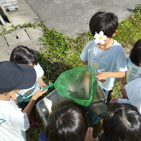 SNOW_20240620_123307_567