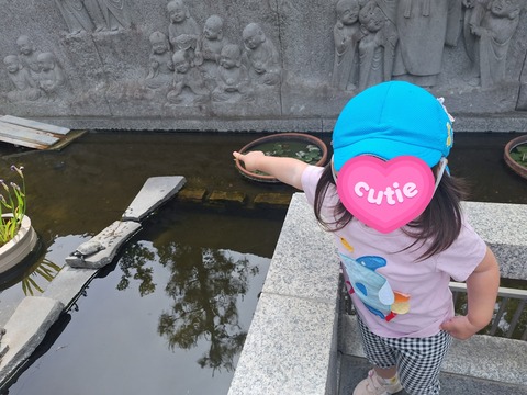 20260512_102945(1)