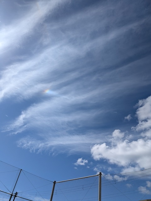 PXL_20250930_010534120