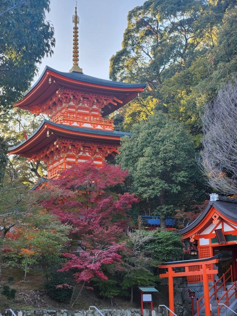 SNOW_20241207_123414_821