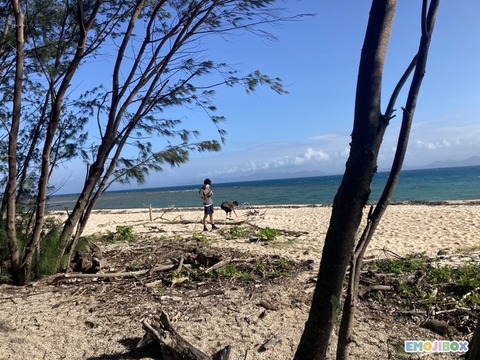 emojibox_13_20250829_141200