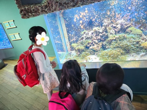 SNOW_20231125_184237_284